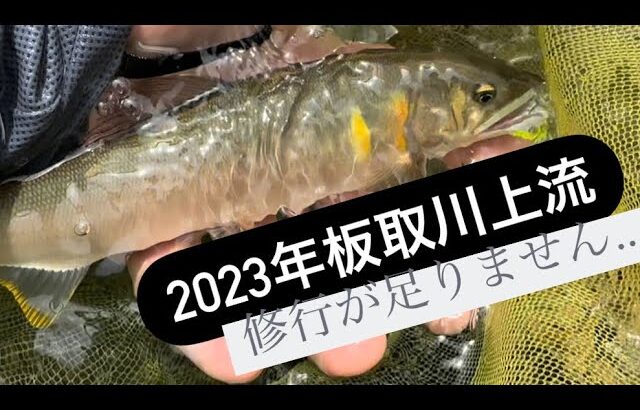 6月13日　板取川上流　鮎釣り　僕には難易度高かった・・・