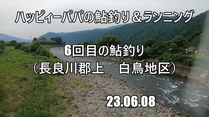 6回目の鮎釣り（長良川郡上　白鳥地区）　23 06 08