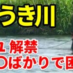 【渓流 ほうき川】6/4 解禁後の日曜日 あさ6時からの釣果ビックリ。天然だから〇〇だね River Healing Channel （リバヒ）