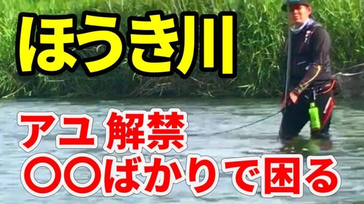 【渓流 ほうき川】6/4 解禁後の日曜日 あさ6時からの釣果ビックリ。天然だから〇〇だね River Healing Channel （リバヒ）