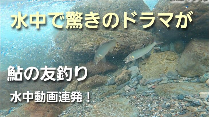 NO9  鮎の友釣り&水中映像　　もう少し粘れば掛かっていた・・・