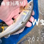鮎釣り　W蝶針　濁り神流川(南甘)　２０２３ ６／６ 今年も宜しくお願いいたします‼️