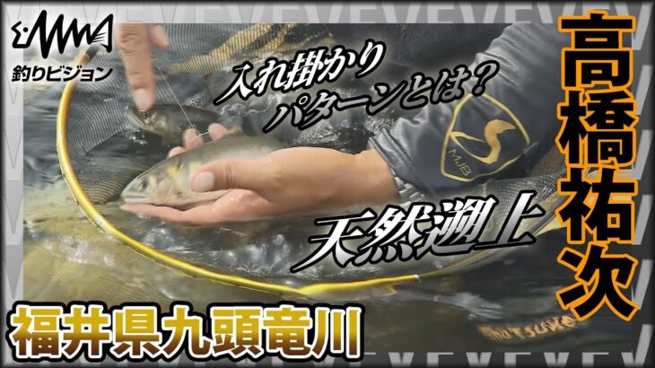 高橋祐次×九頭竜川 梅雨明け直後の北陸攻略 天然遡上がよくなるこの時期の入れ掛かりパターンとは？『YujiStyle』イントロver 【釣りビジョン】その②