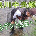 【長良川中央解禁】アクシデント発生で強制終了　鮎釣り　武儀川　鮎解禁