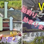 【長良川郡上】２０２３年鮎釣り始めました！　２０２３．６．７