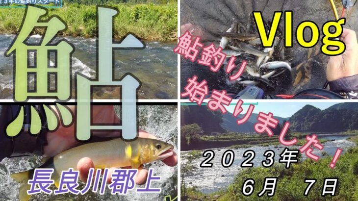 【長良川郡上】２０２３年鮎釣り始めました！　２０２３．６．７