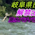 大人気河川。白川解禁出撃！
