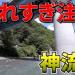 魚影めっちゃ濃い！！神流川の鮎釣りがレベチだった件【鮎釣り】