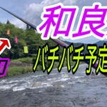 雨降り後の和良川に行ってみました