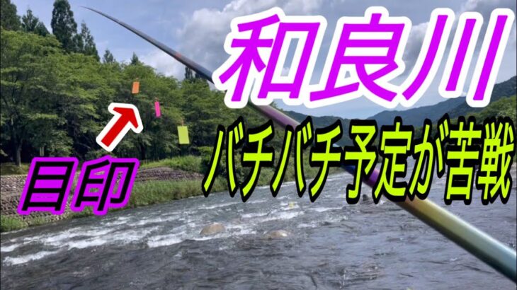 雨降り後の和良川に行ってみました