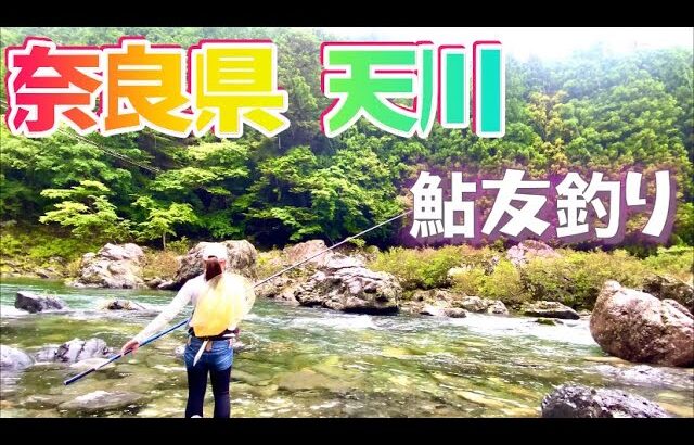 【奈良県・天川】アユ釣り大会へ参戦