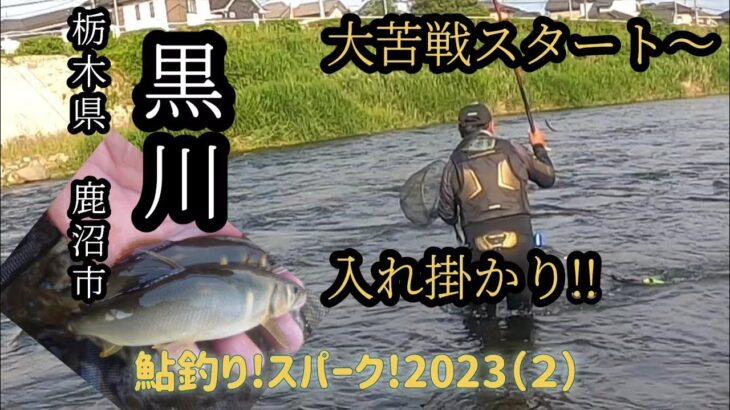 黒川!解禁三日目。初釣行。鮎釣りスパーク!２０２３（２）
