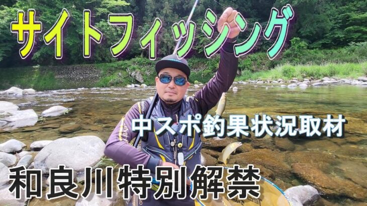 【和良川特別解禁】サイトで狙うよ～　中スポ釣果状況取材　鮎釣り　解禁