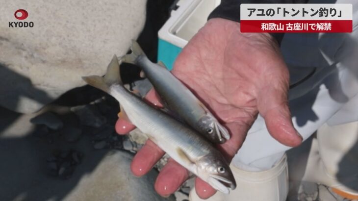 【速報】アユの「トントン釣り」 和歌山、古座川で解禁