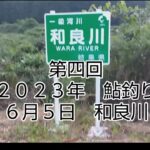 第四回　２０２３年　鮎釣り　６月５日　和良川