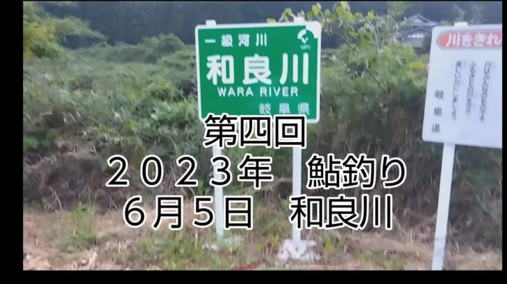 第四回　２０２３年　鮎釣り　６月５日　和良川