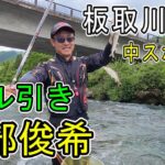 【板取川上流】解禁２日目　西部俊希　低水温の板取をボル引きで攻略　中スポ取材　鮎釣り