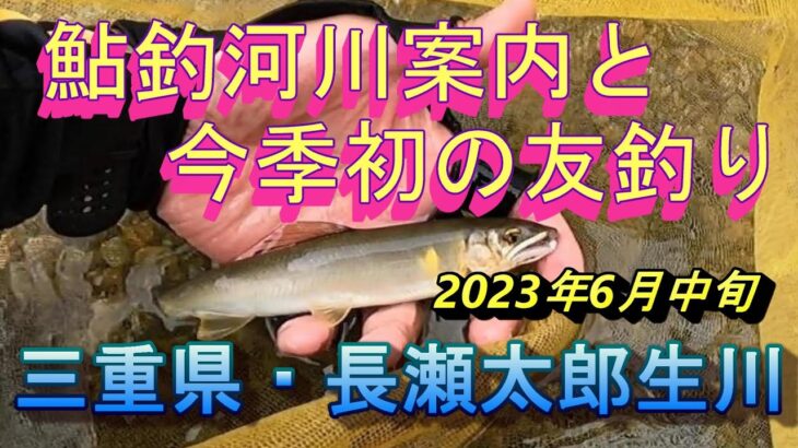 初夏の鮎釣り