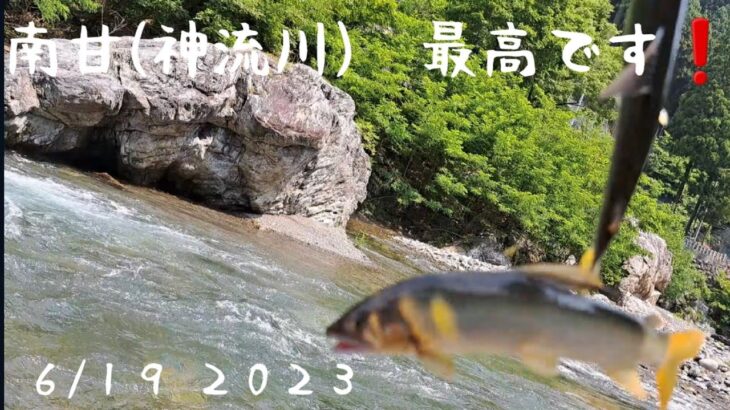 南甘(神流川)　鮎釣り　最高❗　 ６/１９２０２３