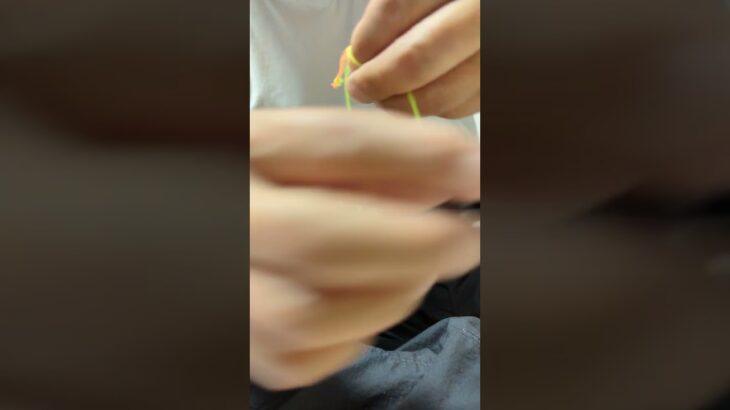 鮎釣り仕掛け（ガバチャ式ワンピース中ハリス）　水中糸と鼻カン糸のビミニツイストでの結節方法