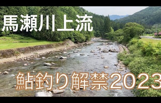 鮎釣り２年目！！馬瀬川上流解禁２日目の釣行