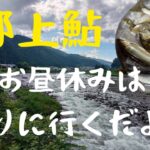 郡上鮎！お昼休みは釣り行くだよ‼️