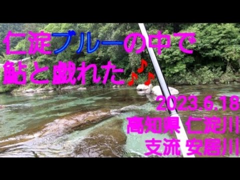 仁淀ブルーの川で鮎と戯れる🎵@高知県 仁淀川 支流 安居川