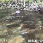 友釣り渓流相メソッド１/ 田舎暮一記の釣り日記