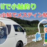 犬上川で小鮎釣って、メスティン鮎ご飯