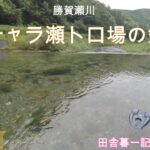 支流チャラ瀬トロ場の釣り方/ 田舎暮一記の釣り日記
