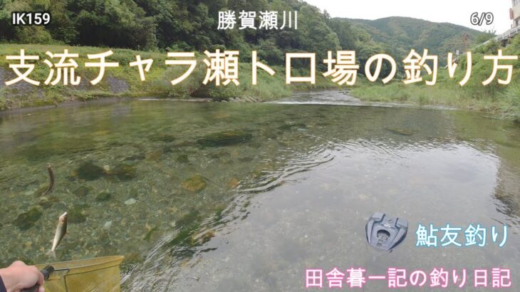 支流チャラ瀬トロ場の釣り方/ 田舎暮一記の釣り日記
