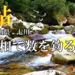 鮎釣り　変化に富んだ渓流相の釣り方【竿抜け攻略】