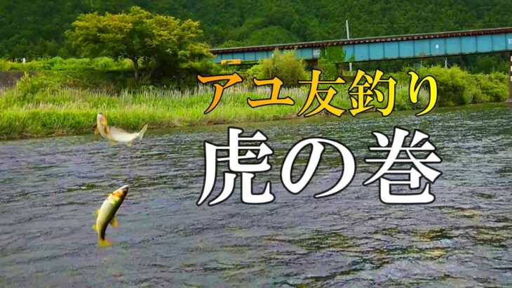 鮎釣り　友釣りは小技の積み重ね