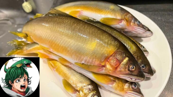ホモサピさんと大量の巨大アユが群れる川を２つの巨大投網で塞いでみた結果！？【総集編】