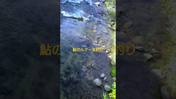 #鮎 #ルアー友釣り #安濃川　左手にロッド、右手にスマホなので、ヒットしてもリールが巻けん。