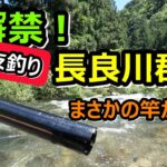 【友釣り】祝！長良川郡上友釣り解禁！！