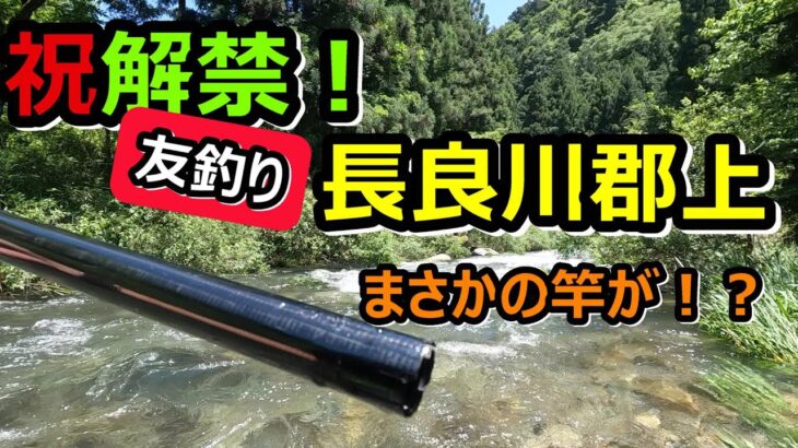【友釣り】祝！長良川郡上友釣り解禁！！