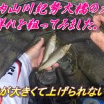 【大内山川鮎釣り】紀勢大橋の大鮎の群れを狙ってみました。＃鮎釣り＃大内山川＃大鮎 0
