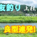 鮎友釣り・上桂川編  08, July, 2023