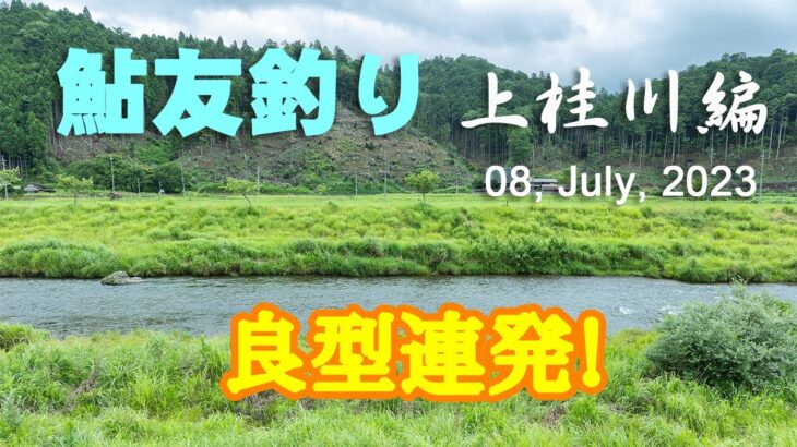 鮎友釣り・上桂川編  08, July, 2023