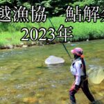 [鮎釣り]1番上の九頭竜川、奥越漁協🌟☀️
