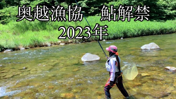 [鮎釣り]1番上の九頭竜川、奥越漁協🌟☀️