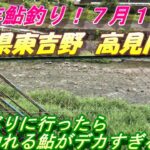 【高見川鮎釣り】久しぶりに様子を見てきました。＃鮎釣り＃高見川＃大鮎 1