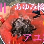 【鮎釣り】秋川 あゆみ橋上流に釣行#10