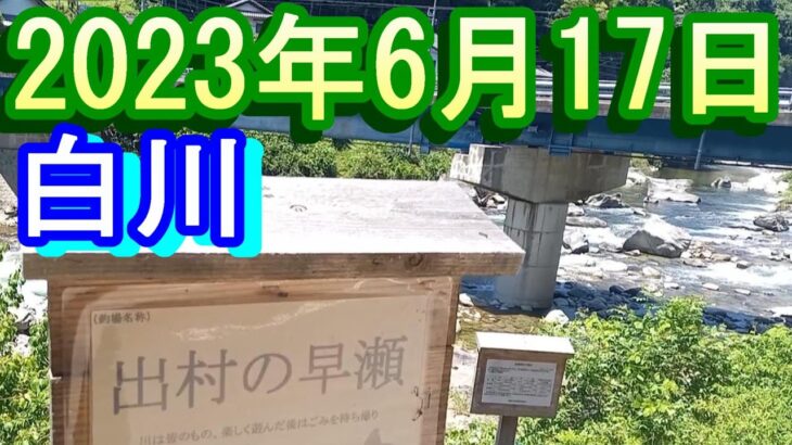 鮎釣り 10㎝高引水 お茶街道下 新白川橋上下 白川 2023年