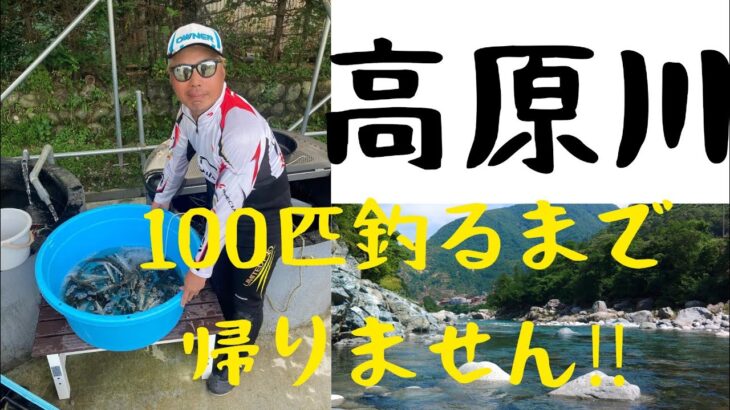 高原川、100匹釣るまで帰りません‼️