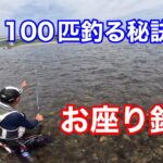 鮎を100匹釣る方法を伝授して頂きました『チャラ瀬での引き止め釣り』