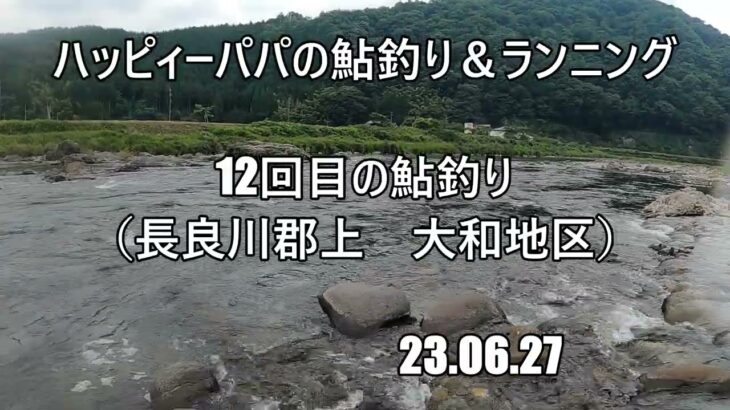12回目の鮎釣り（長良川郡上　大和地区）　23 06 27
