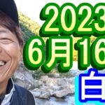 鮎釣り 15㎝高引水 クオーレ前 お茶街道 白川 2023年