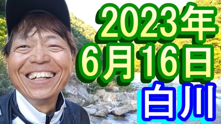 鮎釣り 15㎝高引水 クオーレ前 お茶街道 白川 2023年